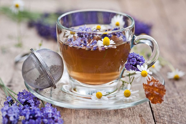 تصویر 5 از قیمت خرید گل گاوزبان خارجی + فروش ویژه